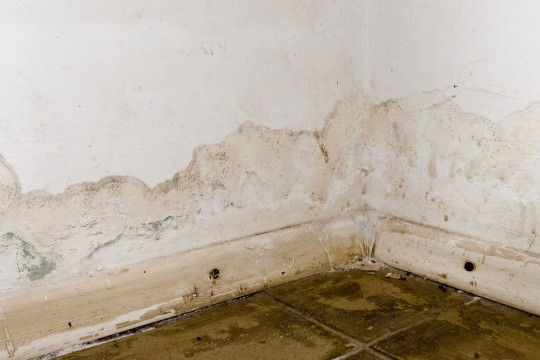 What Are The Signs Your Basement Needs Waterproofing?