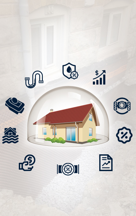 Basic Inspections Plan